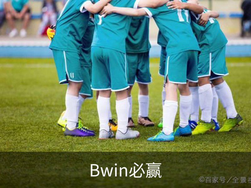 Bwin必赢品牌故事